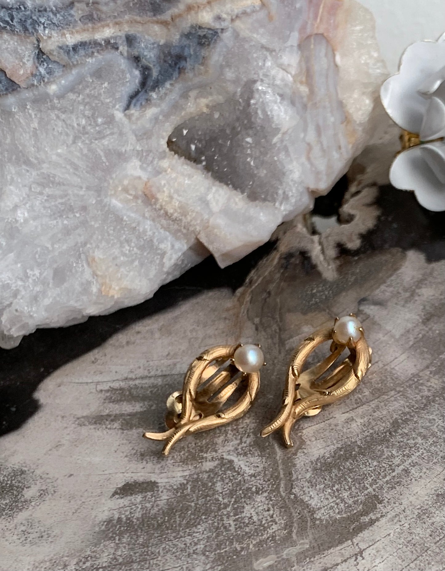 Pearls: Anemones