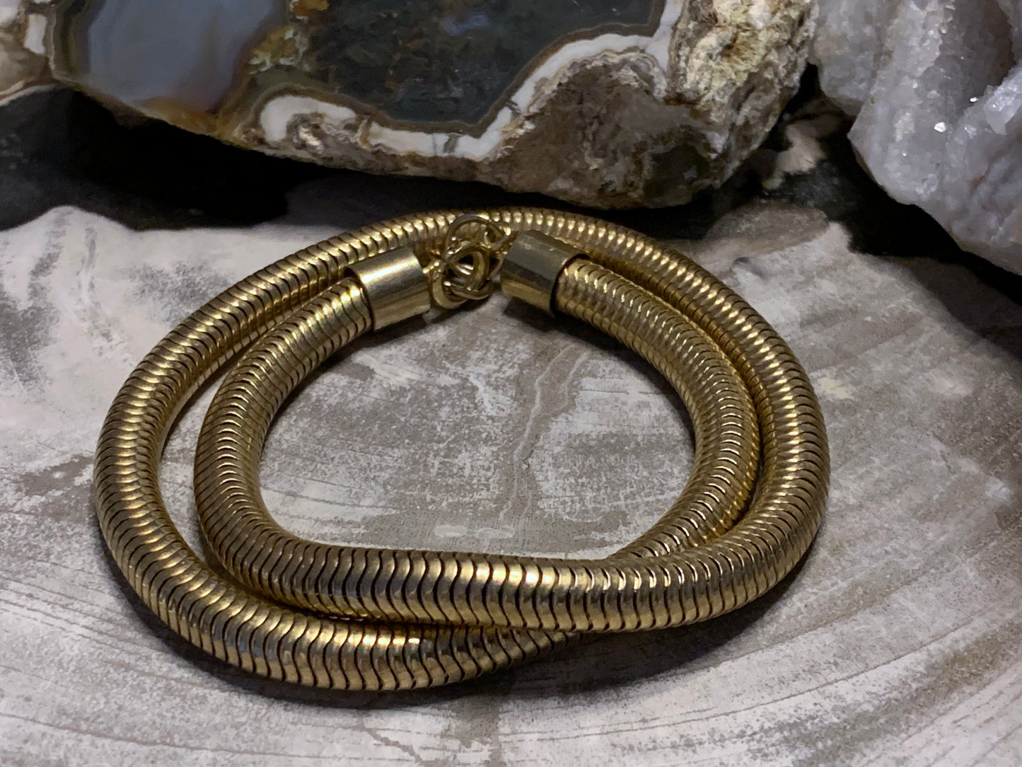 Coiled: Bothrops insularis